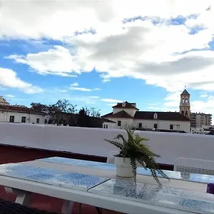 https://big-and-cozy-apartment-with-a-big-terrace-in-the-center.es-andalucia.com